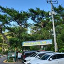 방죽포해수욕장(송림) | [여수여행] 방죽포해수욕장 vs 무술목해수욕장(무술목해변) 비교