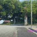 함평 해보리 석불입상 이미지