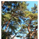 한산도 제승당 이미지