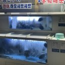 동네방네포차