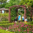 성산6길 이미지