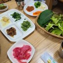 오작교장어 이미지