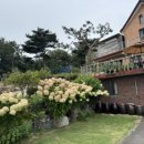 강화도 늘푸른 펜션 이미지