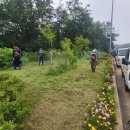 교동면-7 이미지