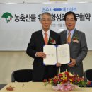 (주)메가마트