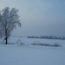 겨울나그네 이미지