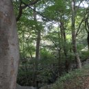 중대암입구 이미지