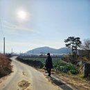 감성Dorm | 제주 애월 애견동반 펜션 감성Dorm 내돈내산 후기