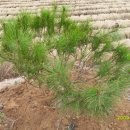 (주)황금농장 이미지