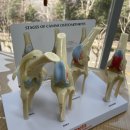 24시 청담우리 동물병원 이미지