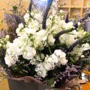 청초약국 이미지