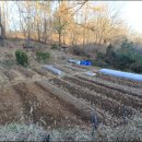 금당골농장 이미지