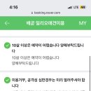 배곧일리오애견미용