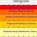 EXERCISE ZONES 이미지