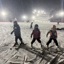 한국체대 참태권도장 이미지