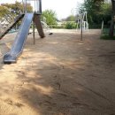 쌍책초등학교 이미지