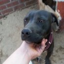 (주)정안 이미지