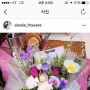 엘로디플라워 이미지