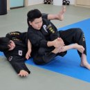 주짓수·복싱 이미지