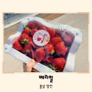 청결농장 | 당진아이랑 가볼만한 곳 딸기 농장 베리힐 체험 후기