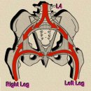 Lumbosacral Mechanics(수정) 이미지