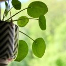 88번길 안경원 이미지