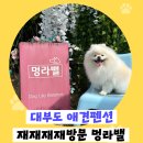 멍라밸 | 대부도 애견펜션, 멍라밸 실제 방문 후기: 시설, 장점 솔직하게 알려드려요