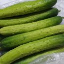 삼칠농장 이미지