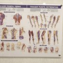 군산마취통증의학과의원 이미지