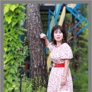 노랑다리미술관 Daum카페