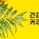 다미래주식회사
