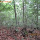 지둔2리 마을회관 이미지