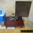 돼지우리 이미지