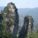 (사)향기 이미지