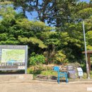 예래동 하예 포구 | [제주도] 혼자 걷는 제주도 올레길 8코스 역방향 19.6KM 대평포구-월평아왜낭목
