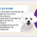 전북펫고등학교 이미지