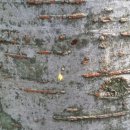 미추어린이집 이미지