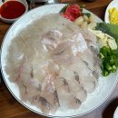 대전탄방초등학교 | 탄방동 회 맛집 대전 이모네 실내마차 노포 감성에 반한 또간횟집