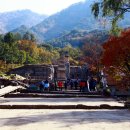 중원-95 Daum카페
