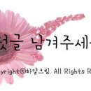 요기내 이미지