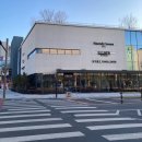 코코스퀘어 애견미용 | 다산 애견미용 코코스퀘어 스파 얼굴컷 후기