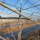 김일병농장 이미지