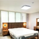 파라시오갤러리 이미지