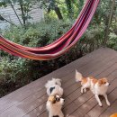 스테이 느긋하게 이미지