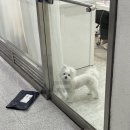 프롬민네일