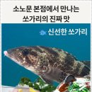 비원쏘가리 이미지