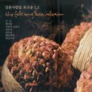 강촌 - 양평군 양수로150번길 11-1 | 강촌