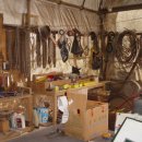 거목 통나무집 이미지