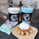 독플러스 이미지