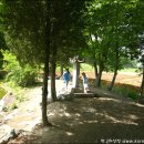 파평용연 이미지